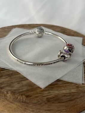 Pandora Beauty and the Beast Limited Edition Bangle & Charms